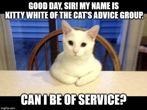 Business cat | GOOD DAY, SIR! MY NAME IS KITTY WHITE OF THE CAT'S ADVICE GROUP. CAN I BE OF SERVICE? | image tagged in cats,business,good day | made w/ Imgflip meme maker