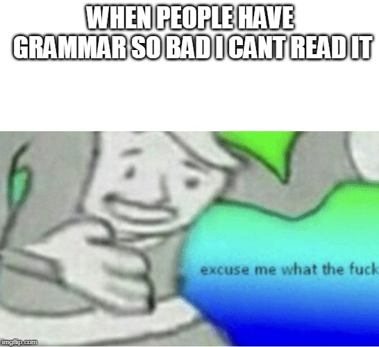 Excuse me is that even english | WHEN PEOPLE HAVE GRAMMAR SO BAD I CANT READ IT | image tagged in excuse me wtf blank template | made w/ Imgflip meme maker