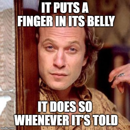 Buffalo Bill Silence of the lambs | IT PUTS A FINGER IN ITS BELLY; IT DOES SO WHENEVER IT'S TOLD | image tagged in buffalo bill silence of the lambs | made w/ Imgflip meme maker