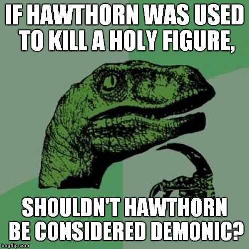The Crown of Thorns Jesus Wore is Actually a Torture Device | IF HAWTHORN WAS USED TO KILL A HOLY FIGURE, SHOULDN'T HAWTHORN BE CONSIDERED DEMONIC? | image tagged in memes,philosoraptor,hawthorn,jesus,jesus christ,religious | made w/ Imgflip meme maker