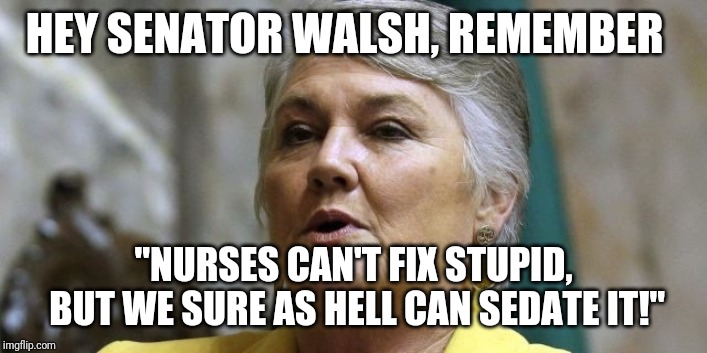 Senator Walsh vs Nurses | HEY SENATOR WALSH, REMEMBER; "NURSES CAN'T FIX STUPID, BUT WE SURE AS HELL CAN SEDATE IT!" | image tagged in nursing | made w/ Imgflip meme maker