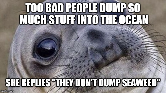 Confused seal |  TOO BAD PEOPLE DUMP SO MUCH STUFF INTO THE OCEAN; SHE REPLIES "THEY DON'T DUMP SEAWEED" | image tagged in confused seal | made w/ Imgflip meme maker