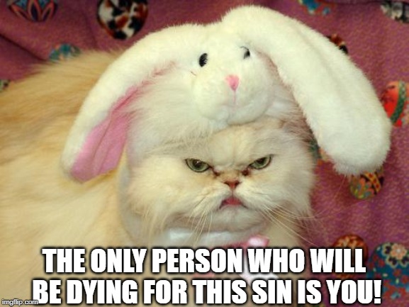 The Cat said to its owner... | THE ONLY PERSON WHO WILL BE DYING FOR THIS SIN IS YOU! | image tagged in easter cat | made w/ Imgflip meme maker
