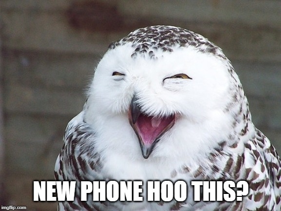 New phone | NEW PHONE HOO THIS? | image tagged in owl,puns | made w/ Imgflip meme maker