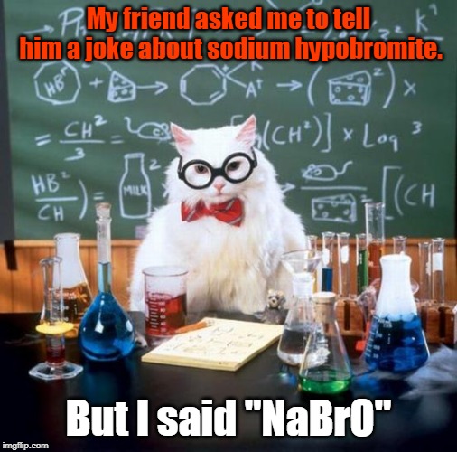 NaBrOs before NaHOes | My friend asked me to tell him a joke about sodium hypobromite. But I said "NaBrO" | image tagged in memes,chemistry cat,pun weekend,bad pun,chemistry,elementary | made w/ Imgflip meme maker