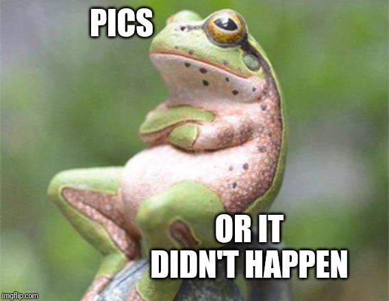 frog crossed arms | PICS OR IT DIDN'T HAPPEN | image tagged in frog crossed arms | made w/ Imgflip meme maker