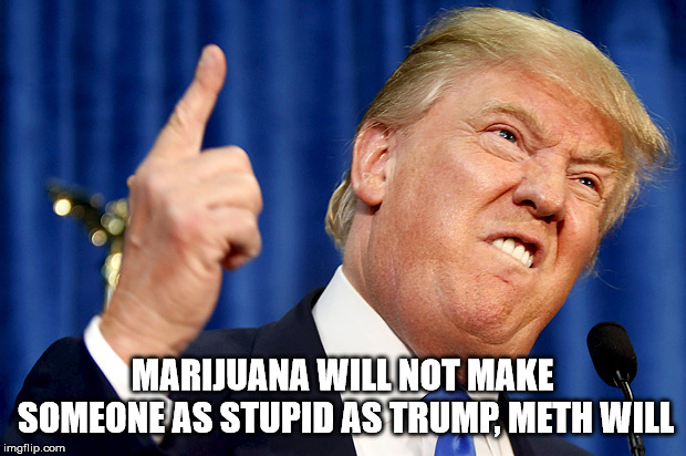 Hitler was a tweaker.  America has a meth problem.  That is why is so many love trump. | MARIJUANA WILL NOT MAKE SOMEONE AS STUPID AS TRUMP, METH WILL | image tagged in donald trump,marijuana,meth,stupid people | made w/ Imgflip meme maker