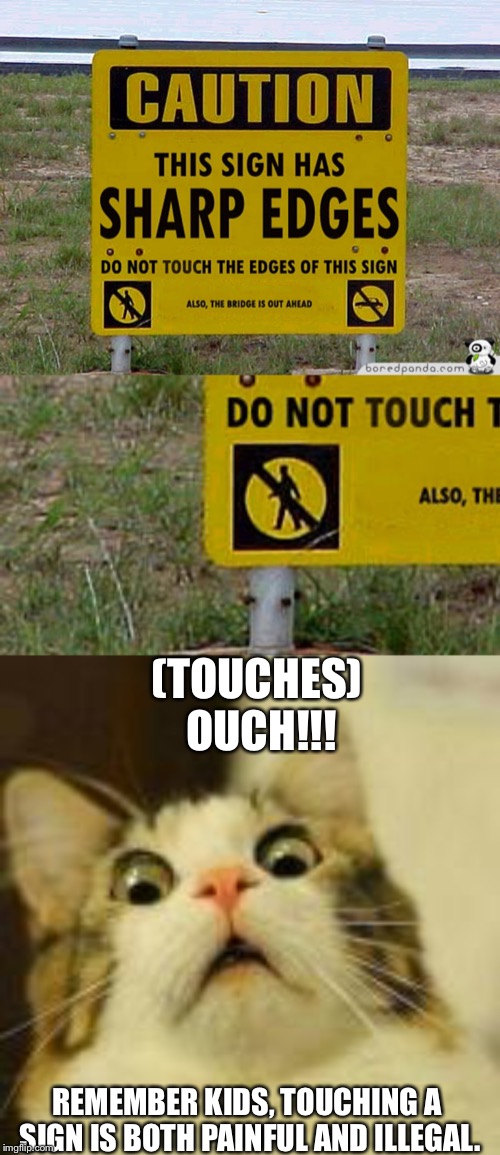 Never touch a sign. (Stupid signs week, a LordCheesus and DaBoilsMeAvery event.)
(17-23 April) | (TOUCHES) OUCH!!! REMEMBER KIDS, TOUCHING A SIGN IS BOTH PAINFUL AND ILLEGAL. | image tagged in memes,seems legit,stupid signs,stupid signs week,scared cat,funny | made w/ Imgflip meme maker