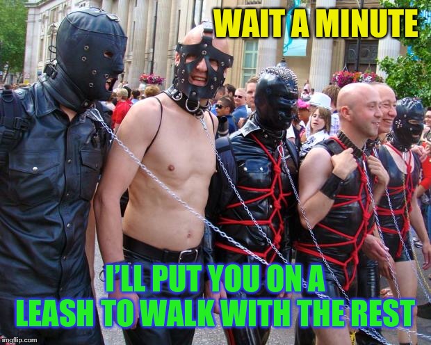 Gay Pride | WAIT A MINUTE I’LL PUT YOU ON A LEASH TO WALK WITH THE REST | image tagged in gay pride | made w/ Imgflip meme maker