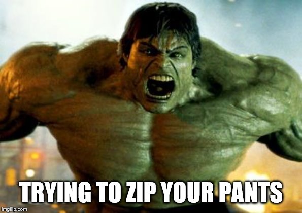 hulk | TRYING TO ZIP YOUR PANTS | image tagged in hulk | made w/ Imgflip meme maker