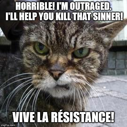 Angry Cat | HORRIBLE! I'M OUTRAGED. I'LL HELP YOU KILL THAT SINNER! VIVE LA RÉSISTANCE! | image tagged in angry cat | made w/ Imgflip meme maker