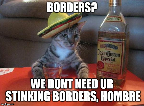 alcohol cat | BORDERS? WE DONT NEED UR STINKING BORDERS, HOMBRE | image tagged in alcohol cat | made w/ Imgflip meme maker