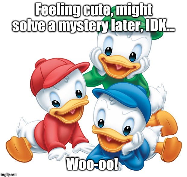 DuckTales Feeling Cute Might IDK | Feeling cute, might solve a mystery later, IDK... Woo-oo! | image tagged in ducktales feeling cute might idk,memes | made w/ Imgflip meme maker