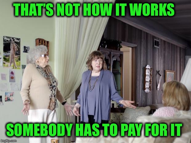 That's Not How Any Of This Works | THAT’S NOT HOW IT WORKS SOMEBODY HAS TO PAY FOR IT | image tagged in that's not how any of this works | made w/ Imgflip meme maker