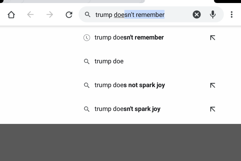 Trump doesn't spark joy Blank Meme Template