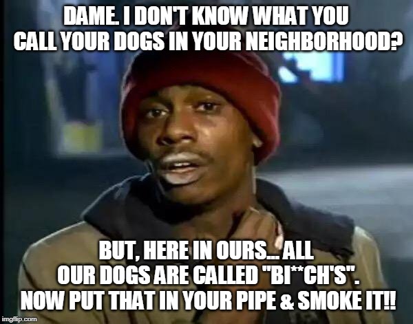 Y'all Got Any More Of That Meme | DAME. I DON'T KNOW WHAT YOU CALL YOUR DOGS IN YOUR NEIGHBORHOOD? BUT, HERE IN OURS... ALL OUR DOGS ARE CALLED "BI**CH'S". NOW PUT THAT IN YO | image tagged in memes,y'all got any more of that | made w/ Imgflip meme maker