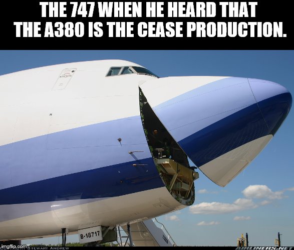 THE 747 WHEN HE HEARD THAT THE A380 IS THE CEASE PRODUCTION. | image tagged in aviation | made w/ Imgflip meme maker