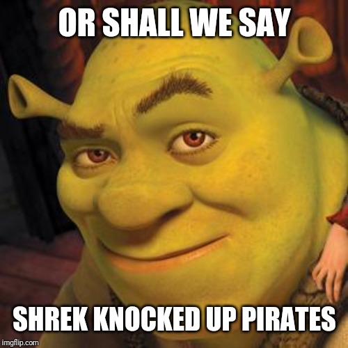 Shrek Sexy Face | OR SHALL WE SAY SHREK KNOCKED UP PIRATES | image tagged in shrek sexy face | made w/ Imgflip meme maker