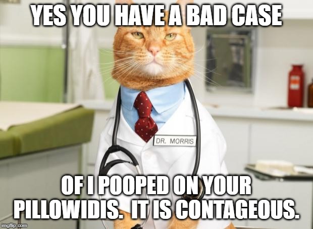 Cat Doctor | YES YOU HAVE A BAD CASE; OF I POOPED ON YOUR PILLOWIDIS.  IT IS CONTAGEOUS. | image tagged in cat doctor | made w/ Imgflip meme maker