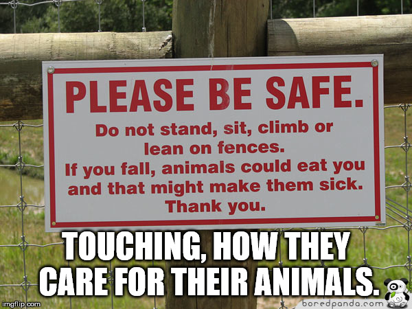 Touching | TOUCHING, HOW THEY CARE FOR THEIR ANIMALS. | image tagged in care,animals | made w/ Imgflip meme maker