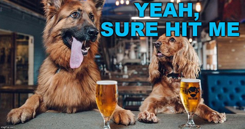 dog drinking | YEAH, SURE HIT ME | image tagged in dog drinking | made w/ Imgflip meme maker
