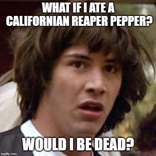 Conspiracy Keanu | WHAT IF I ATE A CALIFORNIAN REAPER PEPPER? WOULD I BE DEAD? | image tagged in memes,conspiracy keanu | made w/ Imgflip meme maker