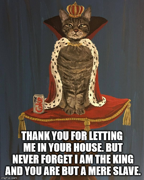 King Cat | THANK YOU FOR LETTING ME IN YOUR HOUSE. BUT NEVER FORGET I AM THE KING AND YOU ARE BUT A MERE SLAVE. | image tagged in king cat | made w/ Imgflip meme maker