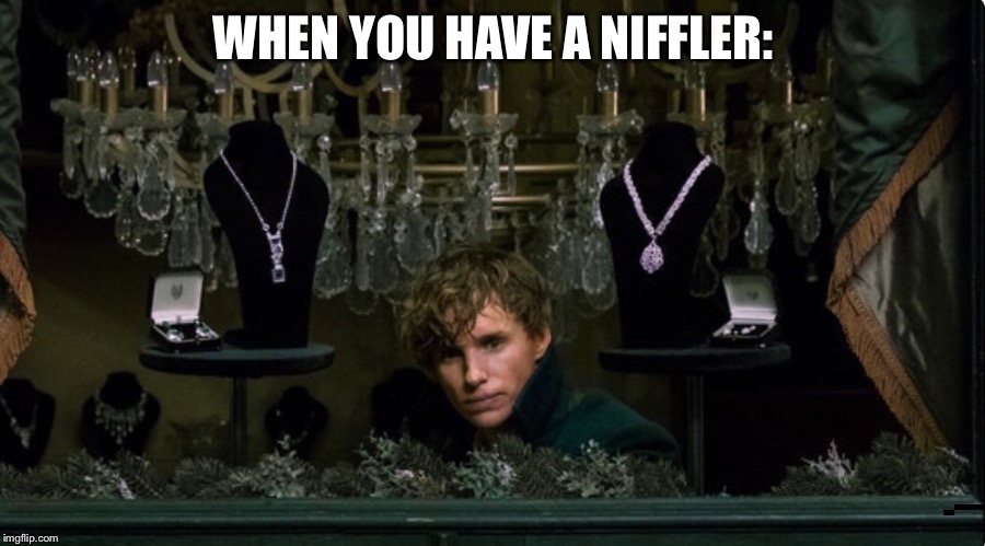 When you have a niffler | WHEN YOU HAVE A NIFFLER: | image tagged in memes | made w/ Imgflip meme maker