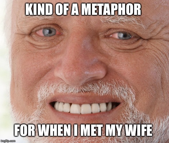Hide the Pain Harold | KIND OF A METAPHOR FOR WHEN I MET MY WIFE | image tagged in hide the pain harold | made w/ Imgflip meme maker
