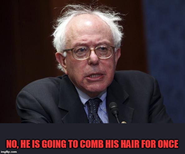 Bernie Sanders | NO, HE IS GOING TO COMB HIS HAIR FOR ONCE | image tagged in bernie sanders | made w/ Imgflip meme maker