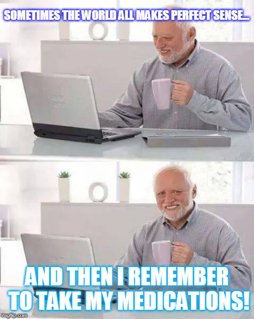 Hide the Pain Harold Meme | SOMETIMES THE WORLD ALL MAKES PERFECT SENSE... AND THEN I REMEMBER TO TAKE MY MEDICATIONS! | image tagged in memes,hide the pain harold | made w/ Imgflip meme maker
