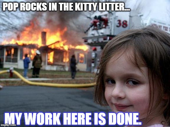 Disaster Girl Meme | POP ROCKS IN THE KITTY LITTER... MY WORK HERE IS DONE. | image tagged in memes,disaster girl | made w/ Imgflip meme maker