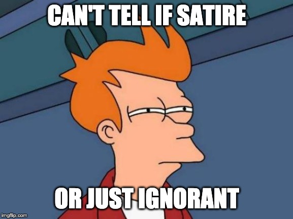 Futurama Fry Meme | CAN'T TELL IF SATIRE; OR JUST IGNORANT | image tagged in memes,futurama fry | made w/ Imgflip meme maker