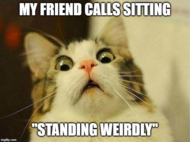 Scared Cat | MY FRIEND CALLS SITTING; "STANDING WEIRDLY" | image tagged in memes,scared cat | made w/ Imgflip meme maker