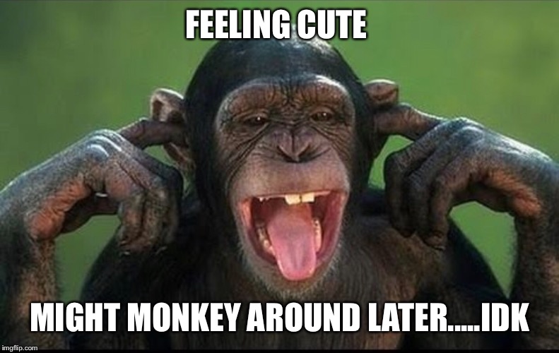 FEELING CUTE; MIGHT MONKEY AROUND LATER.....IDK | image tagged in feeling cute,monkey business | made w/ Imgflip meme maker