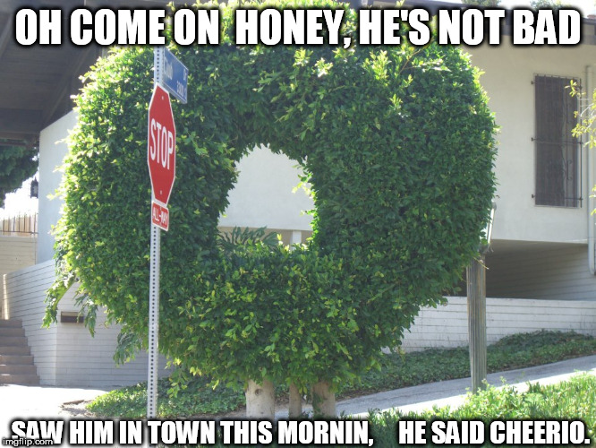 OH COME ON  HONEY, HE'S NOT BAD SAW HIM IN TOWN THIS MORNIN, 



HE SAID CHEERIO. | made w/ Imgflip meme maker