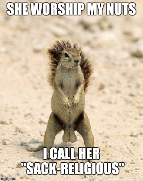 Nuts. | SHE WORSHIP MY NUTS; I CALL HER "SACK-RELIGIOUS" | image tagged in nuts | made w/ Imgflip meme maker