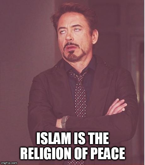 Face You Make Robert Downey Jr | ISLAM IS THE RELIGION OF PEACE | image tagged in memes,face you make robert downey jr | made w/ Imgflip meme maker