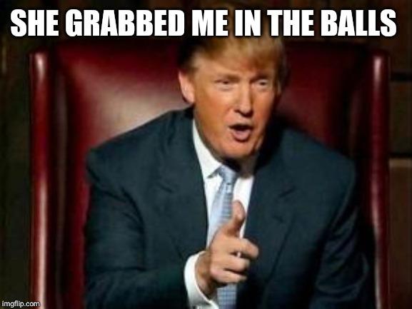 Donald Trump | SHE GRABBED ME IN THE BALLS | image tagged in donald trump | made w/ Imgflip meme maker