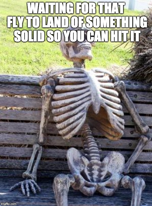 why wouldn't the fly land already?! | WAITING FOR THAT FLY TO LAND OF SOMETHING SOLID SO YOU CAN HIT IT | image tagged in memes,waiting skeleton,fly | made w/ Imgflip meme maker