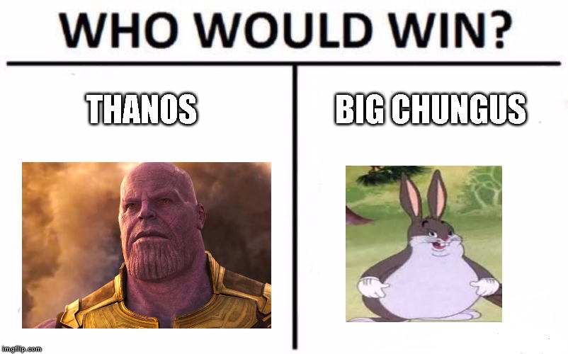 Who Would Win? | THANOS; BIG CHUNGUS | image tagged in memes,who would win | made w/ Imgflip meme maker
