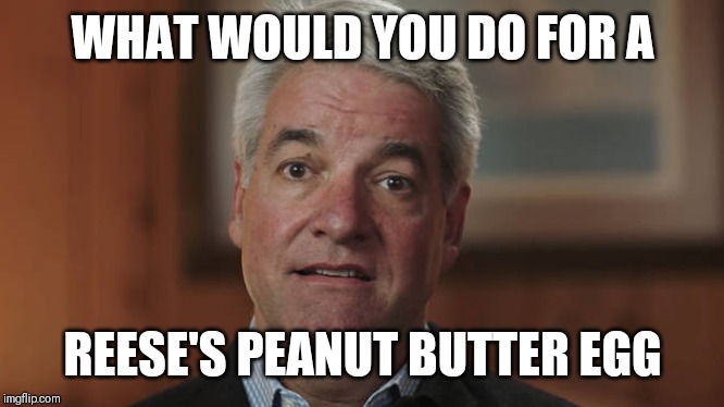 FYRE | WHAT WOULD YOU DO FOR A; REESE'S PEANUT BUTTER EGG | image tagged in fyre | made w/ Imgflip meme maker