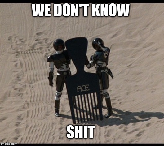 Spaceballs comb | WE DON'T KNOW SHIT | image tagged in spaceballs comb | made w/ Imgflip meme maker