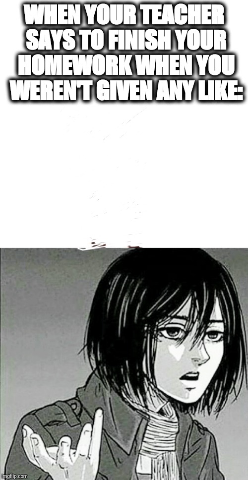 WHEN YOUR TEACHER SAYS TO FINISH YOUR HOMEWORK WHEN YOU WEREN'T GIVEN ANY LIKE: | image tagged in aot memes | made w/ Imgflip meme maker