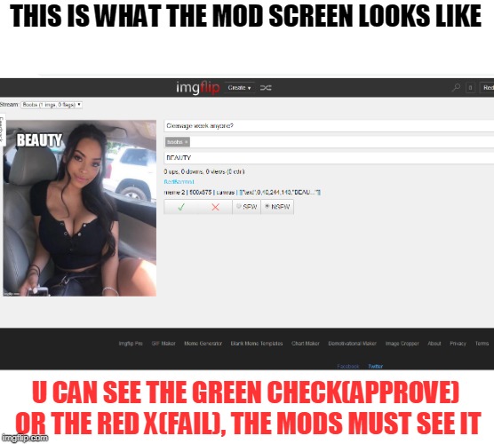 THIS IS WHAT THE MOD SCREEN LOOKS LIKE U CAN SEE THE GREEN CHECK(APPROVE) OR THE RED X(FAIL), THE MODS MUST SEE IT | made w/ Imgflip meme maker