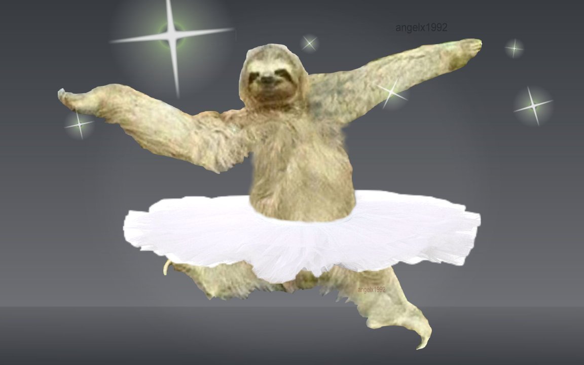 Sloth Blank Meme Template