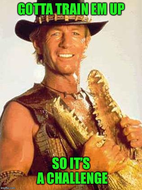 Crocodile Dundee | GOTTA TRAIN EM UP SO IT’S A CHALLENGE | image tagged in crocodile dundee | made w/ Imgflip meme maker