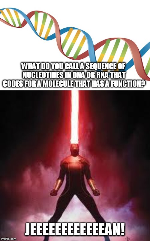 x-men pun | WHAT DO YOU CALL A SEQUENCE OF NUCLEOTIDES IN DNA OR RNA THAT CODES FOR A MOLECULE THAT HAS A FUNCTION? JEEEEEEEEEEEEAN! | image tagged in cyclops,dna strand | made w/ Imgflip meme maker