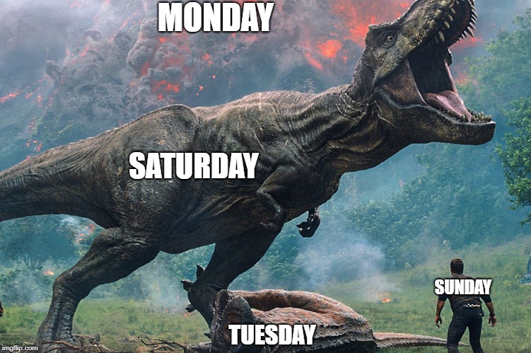 week | MONDAY; SATURDAY; SUNDAY; TUESDAY | image tagged in week | made w/ Imgflip meme maker