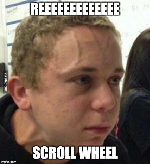 Angry man | REEEEEEEEEEEEE; SCROLL WHEEL | image tagged in angry man | made w/ Imgflip meme maker